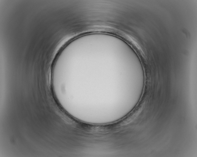 X0000111351275200907100927
