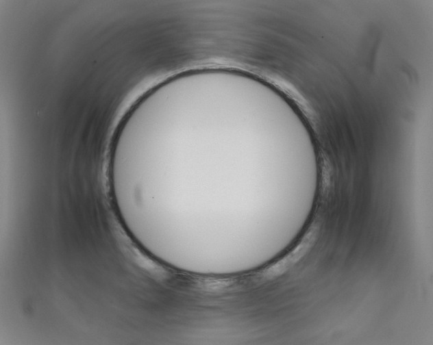 X0000111351278200907100927