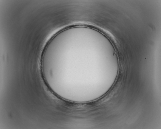 X0000111351279200907100927