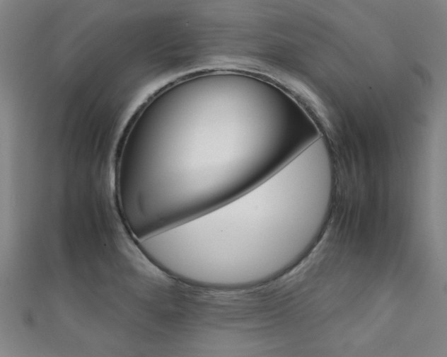 X0000111351280200907100927