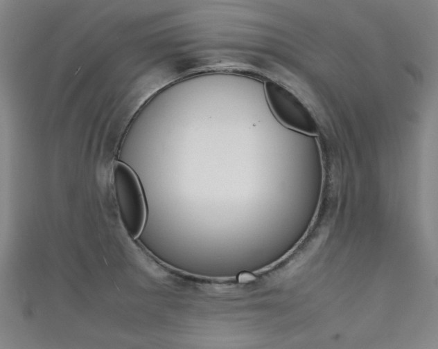 X0000111351281200907100927