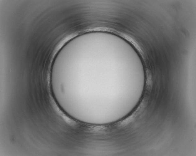 X0000111351282200907100927