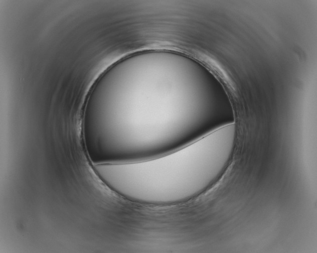 X0000111351284200907100927