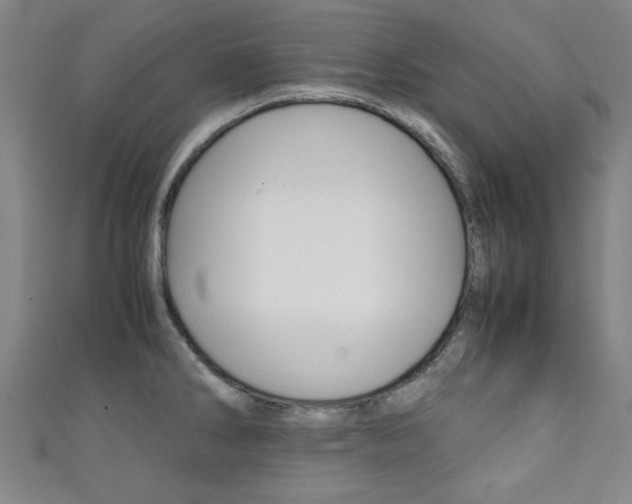 X0000111351286200907100927