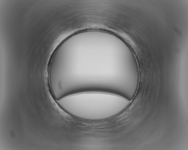 X0000111351287200907100927