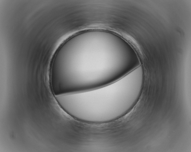 X0000111351288200907100927
