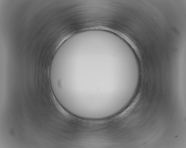 X0000111351289200907100927