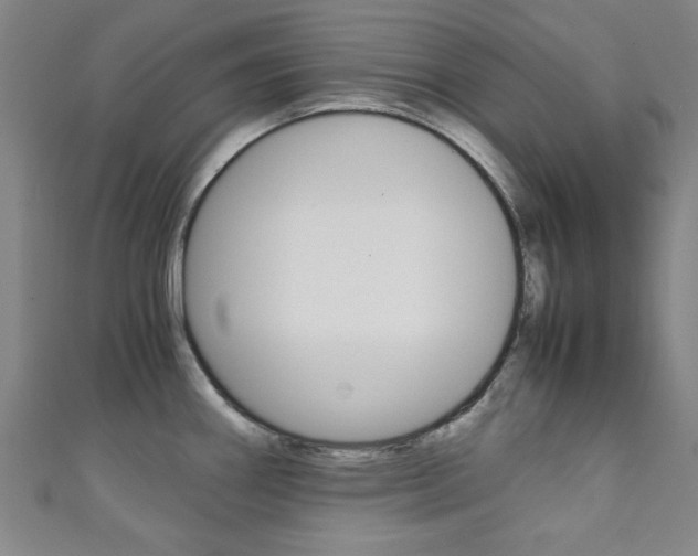 X0000111351290200907100927