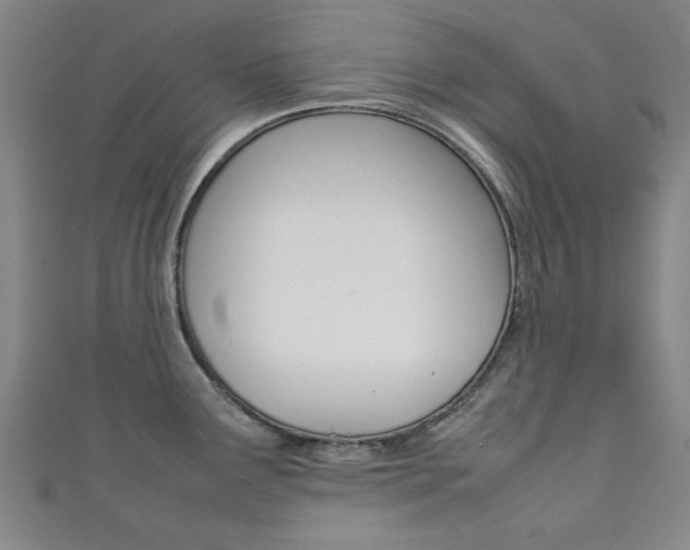 X0000111351291200907100927