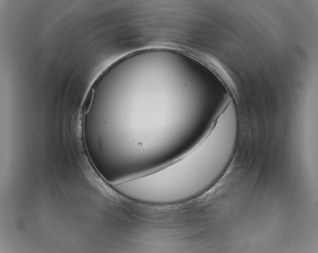 X0000111351292200907100927