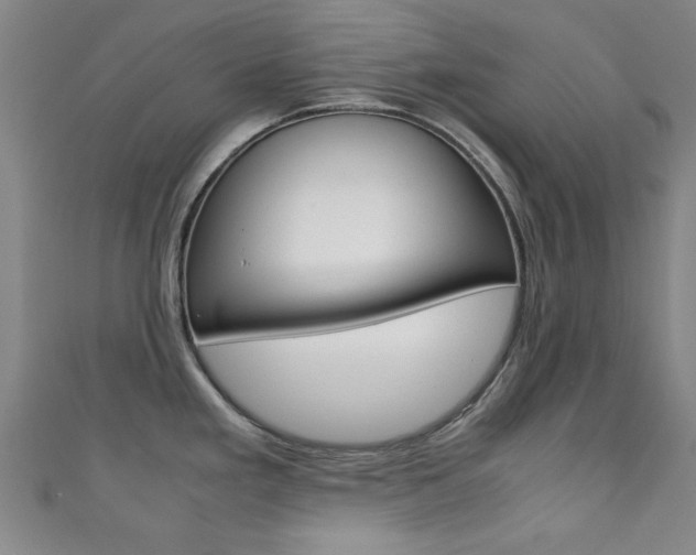 X0000111351293200907100927