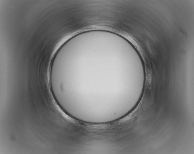 X0000111351294200907100927
