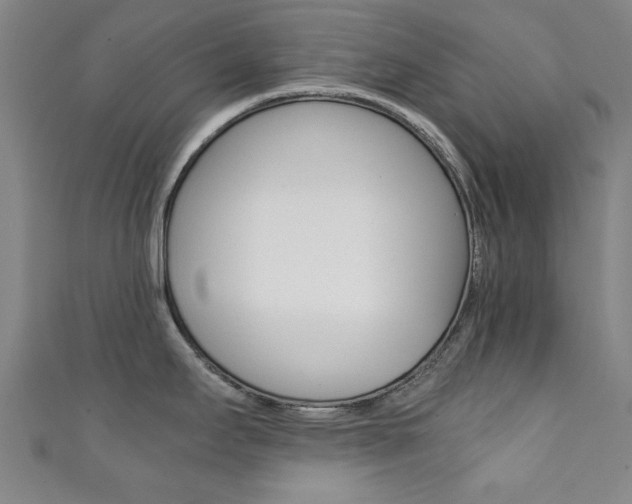 X0000111351295200907100927