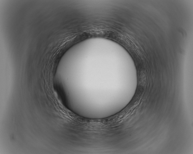 X0000111351297200907100926