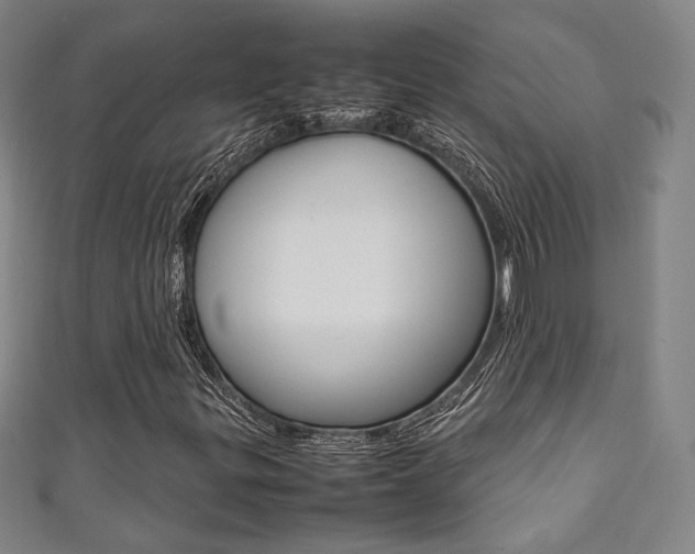 X0000111351299200907100926