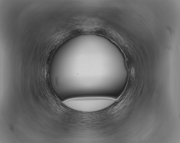 X0000111351300200907100926