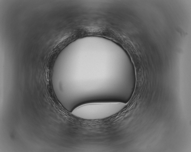 X0000111351301200907100926
