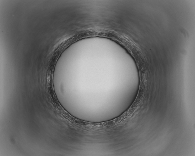 X0000111351302200907100926