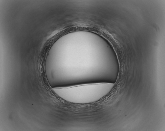 X0000111351303200907100926