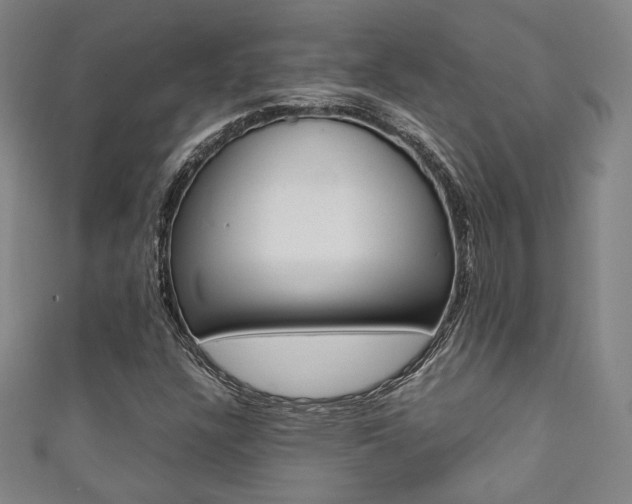 X0000111351304200907100926