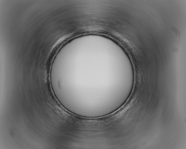 X0000111351306200907100926