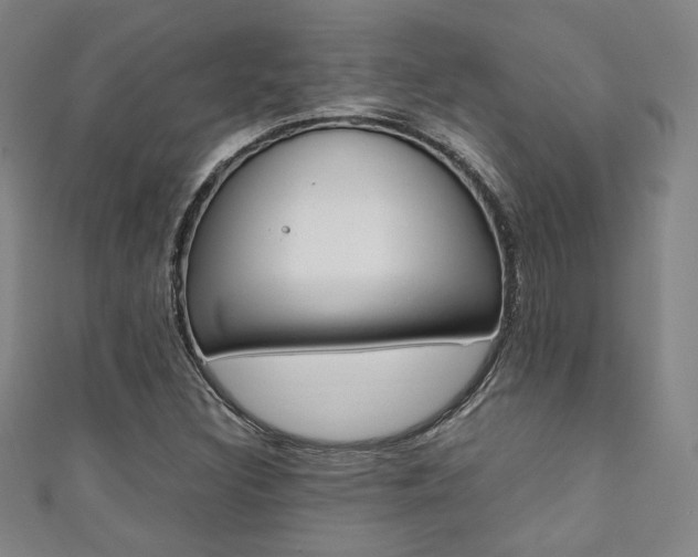 X0000111351308200907100926