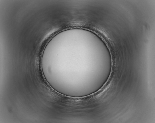X0000111351309200907100926