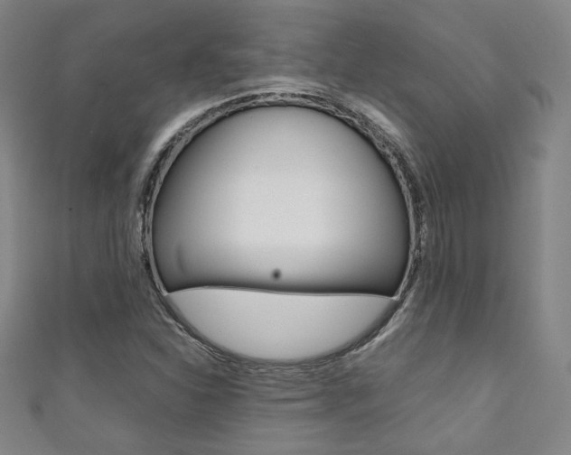 X0000111351310200907100926