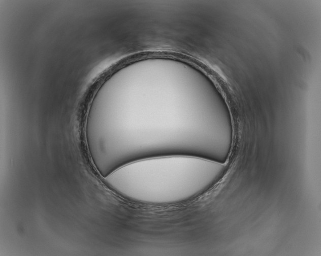 X0000111351311200907100926