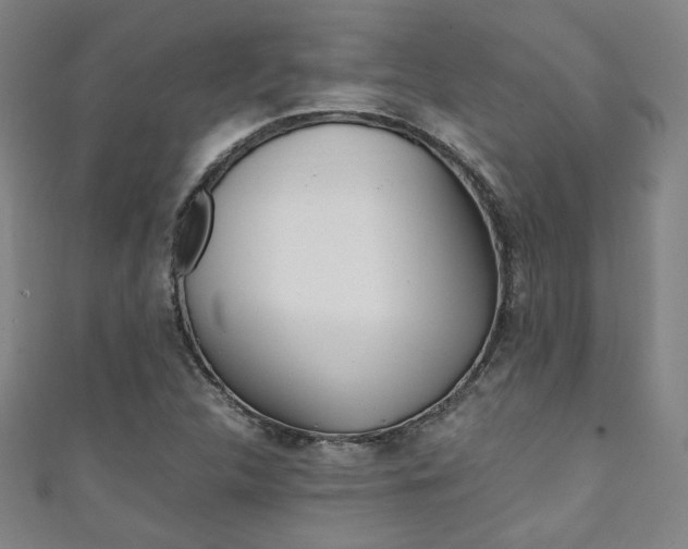 X0000111351312200907100926