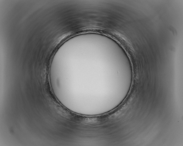 X0000111351313200907100926