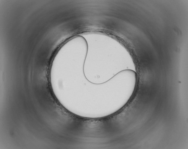 X0000111351314200907100926