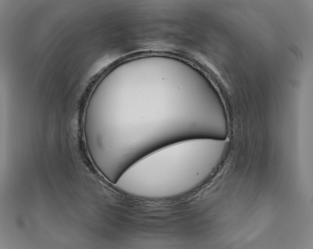 X0000111351315200907100926