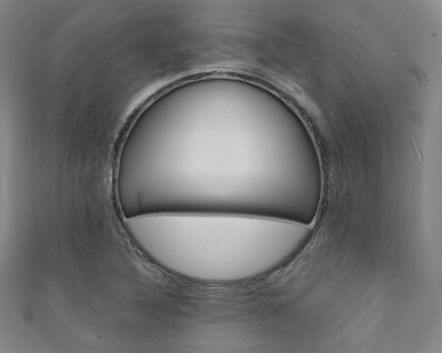 X0000111351316200907100926