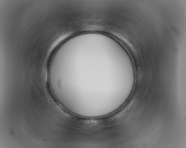 X0000111351317200907100926