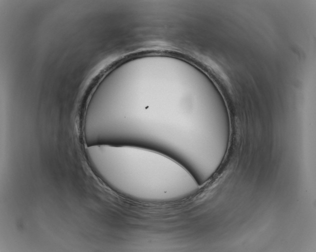X0000111351318200907100926