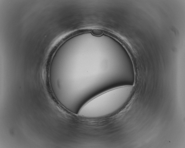 X0000111351319200907100926