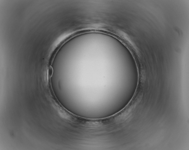 X0000111351320200907100926