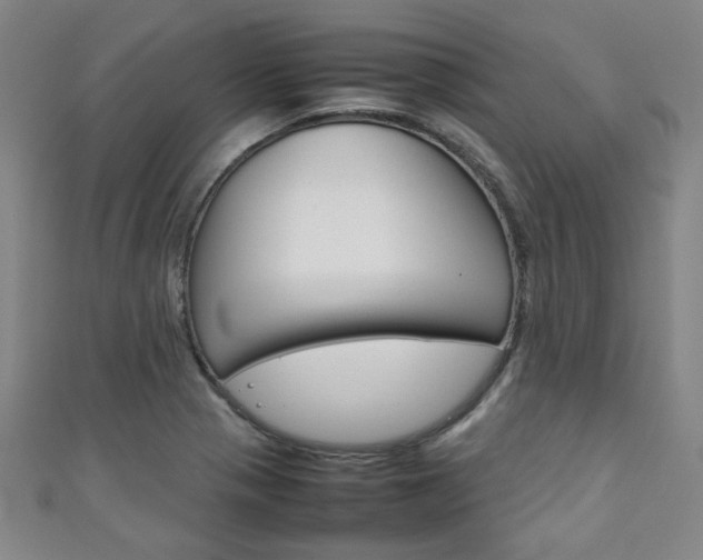 X0000111351321200907100926