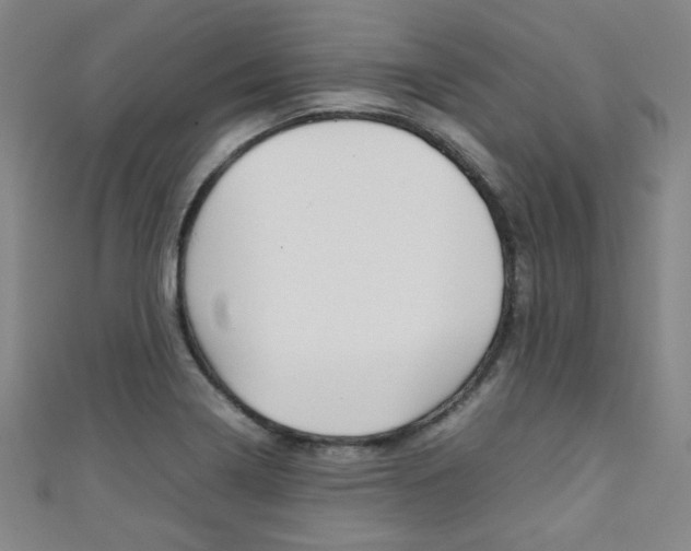X0000111351322200907100926