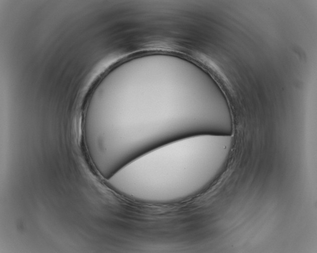 X0000111351323200907100926