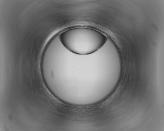 X0000111351326200907100927