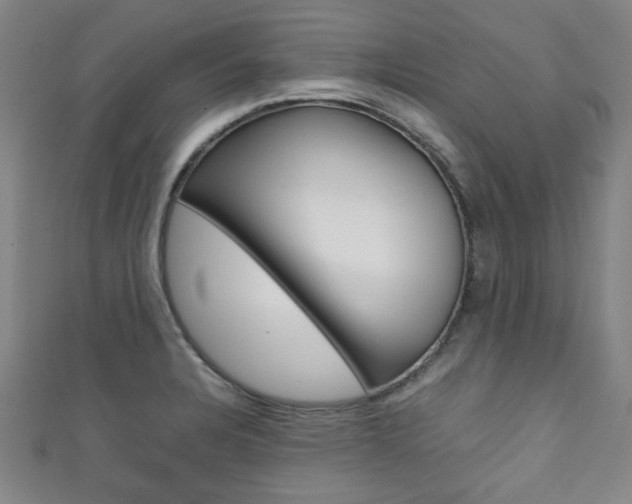 X0000111351328200907100927