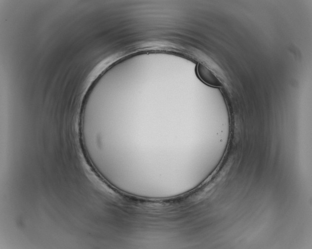 X0000111351330200907100927