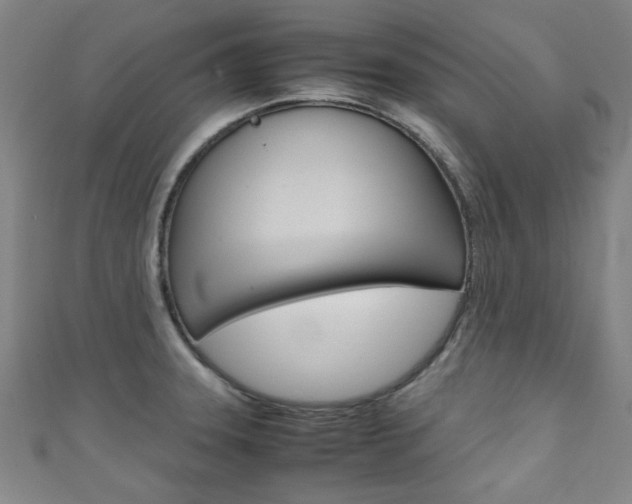 X0000111351331200907100927