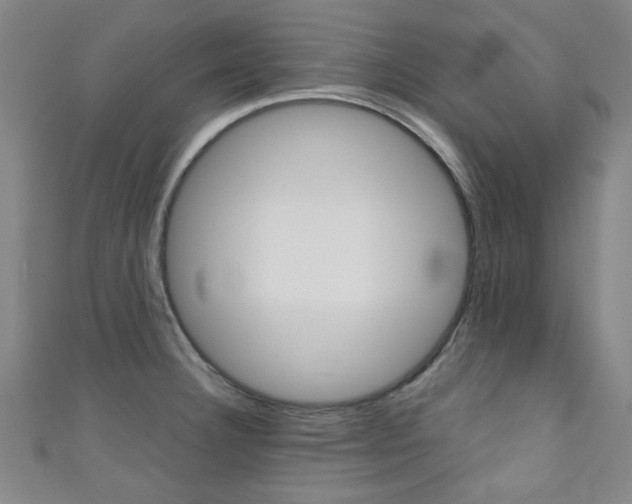 X0000111351332200907100927