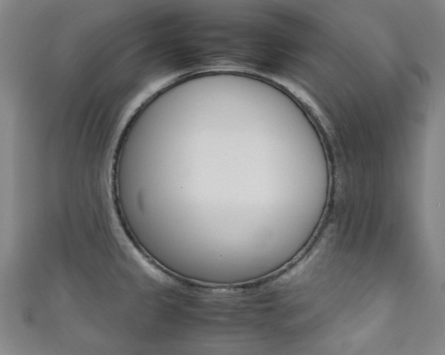 X0000111351333200907100927