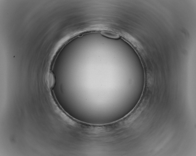 X0000111351334200907100927