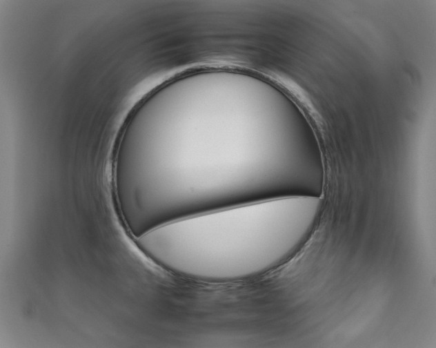 X0000111351335200907100927