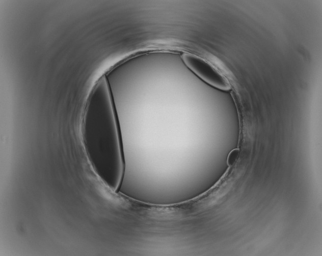 X0000111351336200907100927